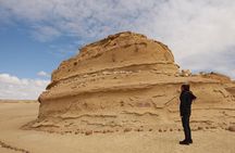 Private Full Day Tour in Wadi El Rayan and Wadi El Hiten