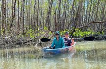 CLEAR Kayak Sunset & Light Tour - Bonita Springs / Ft Myers Beach