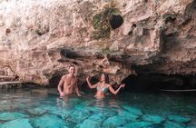 Atv Turtles and Cenote 