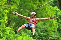 Roatan Zipline Adventure, Sloths & Monkeys,Chocolate Factory Tour