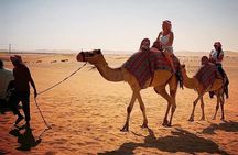 Dubai Private Morning Desert Safari with Camel Ride