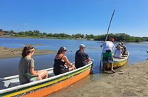 Artisanal Canoe Tour in the Mangrove with Afro-Caribbean Dance