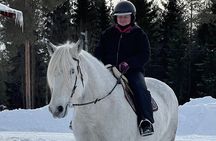 Riding Tour with Finnhorses at Santa Claus Village