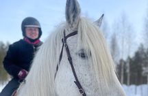 Riding Tour with Finnhorses at Santa Claus Village