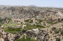 Nizwa Fort-Nizwa Souq-Birkat Al Mouz-Jebel Akhdar - Private Full Day Tour
