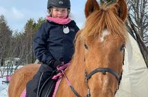 Riding Tour with Finnhorses at Santa Claus Village