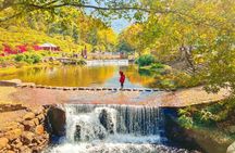 Shimen National Forest Park & Conghua Hot Spring Private Day Tour