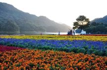 Shimen National Forest Park & Conghua Hot Spring Private Day Tour