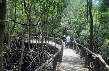 Private Spice Tour and Jozani Forest in Zanzibar