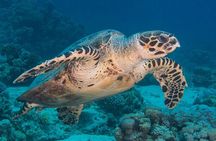Shore Diving with private beach access & Lunch