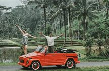 Highlight Ubud Tour in Classic Vintage Volkswagen