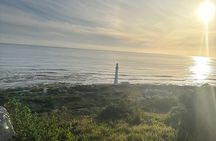 Private Guided Tour in Cape of Good Hope and Table Mountain