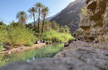 Agadir: Paradise Valley & Desert Sand Dunes With Camel Ride 