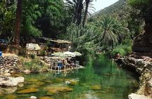 Agadir: Paradise Valley & Desert Sand Dunes With Camel Ride 