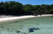 Discover Green Island and Sea Turtles - Half Day SHARE BOAT TRIP