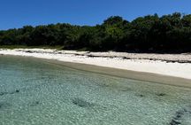 Discover Green Island and Sea Turtles - Half Day SHARE BOAT TRIP