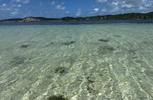Discover Green Island and Sea Turtles - Half Day SHARE BOAT TRIP