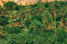 3 Day Trip from Marrakech to Merzouga 