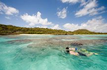 FANTASTIC Green Island and Sea Turtles - Half Day share boat trip