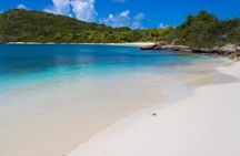 Discover Green Island and Sea Turtles - Half Day SHARE BOAT TRIP