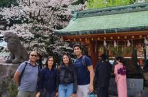 Customize Tokyo Must-sees &Local gems with Local Friend (Private)