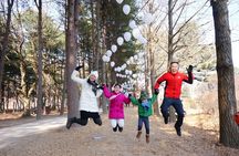 Full Day Private Tour in Nami Island 