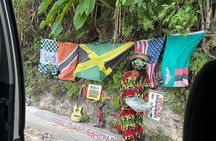 Private Dunns River Falls & Bluehole tour from Montego Bay