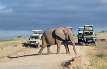 Day Tour to Amboseli National Park from Nairobi