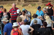 Savor the Countryside: Tours with Authentic Cooking Classes"