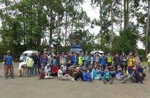 7 Days Hiking Mount Kilimanjaro Lemosho Route