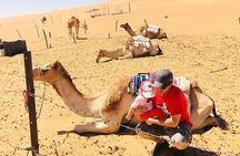 Wahiba Sands & Wadi Bani Khalid- Private Desert Safari in Muscat