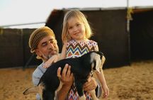 Wahiba Sands & Wadi Bani Khalid- Private Desert Safari in Muscat