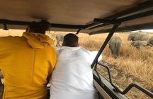 Discover the Beauty of Day Safari to Selous Game Reserve 