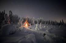 Night Snowshoeing Adventure under the Northern Lights