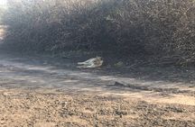 Discover the Beauty of Day Safari to Selous Game Reserve 