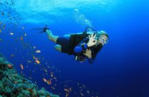 Scuba dive with sharing transfers