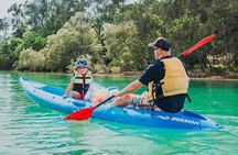 Daytime Kayak Eco Tour of New South Wales