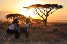 4 days Authentic honeymoon safari Serengeti and ngongoro crater 