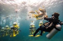 Guided Underwater Scooter and Snorkeling Activity in St. Thomas
