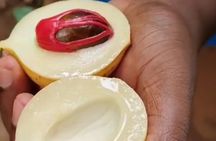 Full Day Private Spice Farm Stone Town and Prison Island