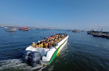 Full day Paracas - Huacachina from Lima