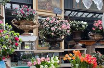 Paris: Ile De La Cité Walking Tour: Discover Paris' Birthplace