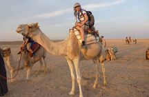  Riding a Camel West of Luxor 