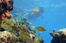 5 islands tour to rosario Islands with snorkeling activity!