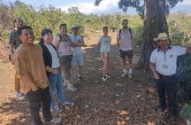Tour Rural de Café/ Coffee Tour 