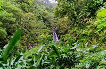 VIP Private Full-Day Road to Hana Tour from Wailea - Kihei