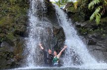 VIP Private Full-Day Road to Hana Tour from Wailea - Kihei