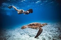 6 Hour Private Boat Activity with Snorkeling & Lunch