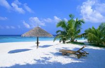 Contoy Reef & Isla Mujeres Tour! From Cancun & Playa del Carmen 