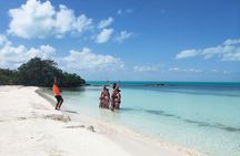 Contoy Reef & Isla Mujeres Tour! From Cancun & Playa del Carmen 